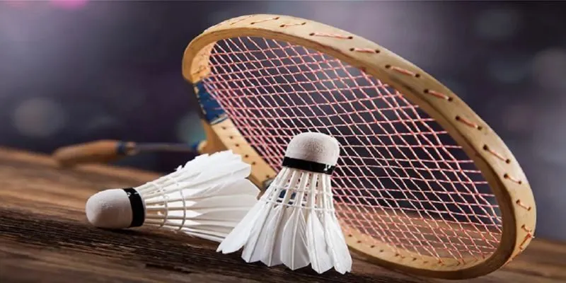 Sơ lược về cược cầu lông